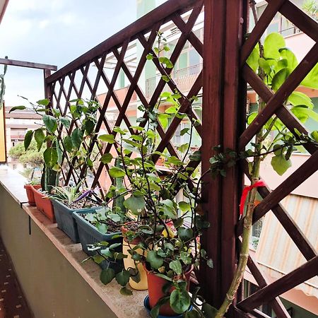 Euforbia House Apartment ลิโด ดิ ออสเตีย ภายนอก รูปภาพ