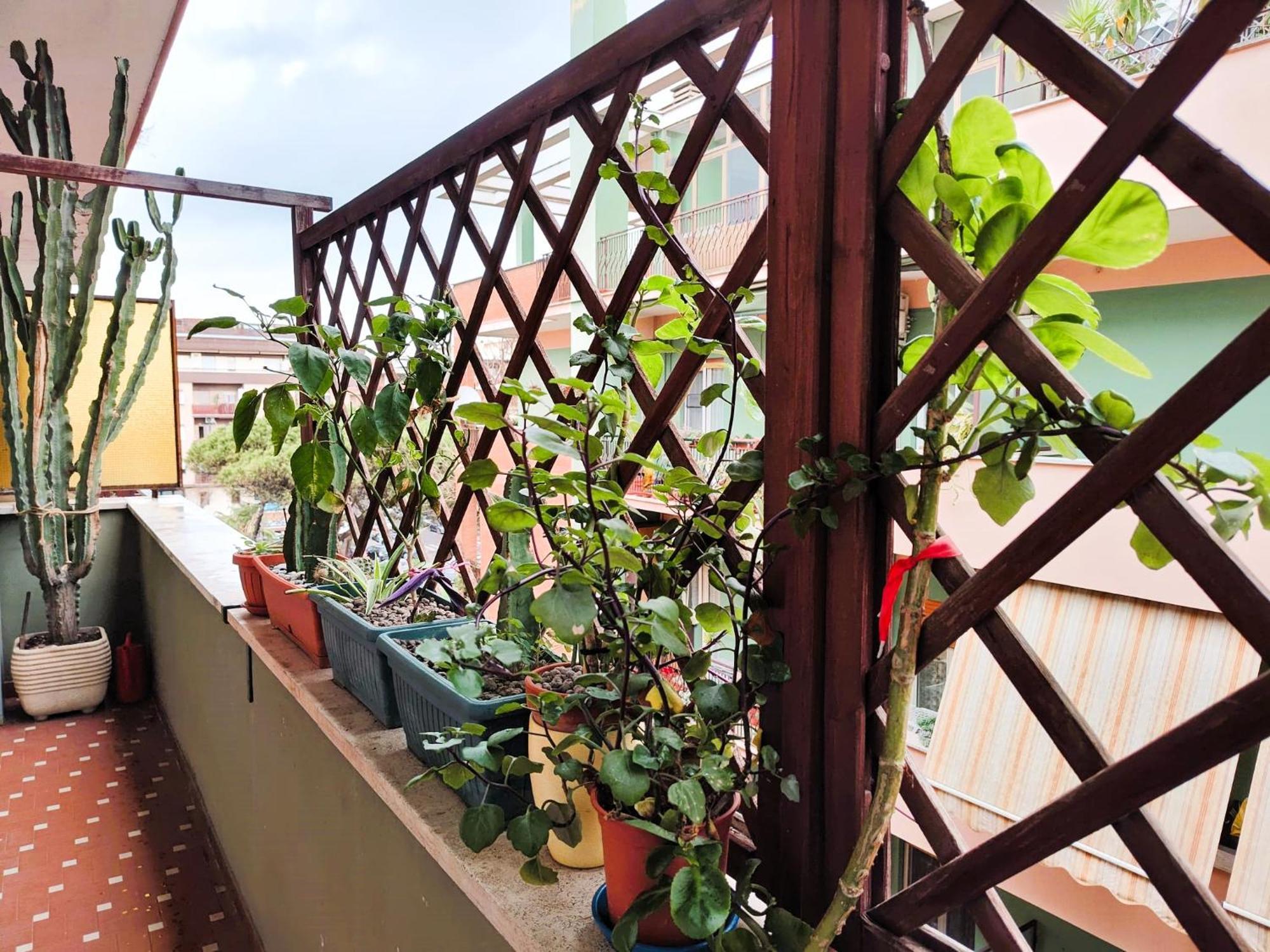 Euforbia House Apartment ลิโด ดิ ออสเตีย ภายนอก รูปภาพ